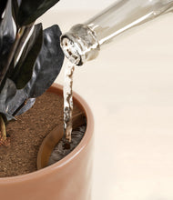 Load image into Gallery viewer, Hammered Peach Pink stand:all