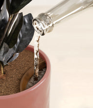 Load image into Gallery viewer, Hammered Rose Pink stand:all