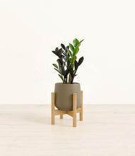 Load image into Gallery viewer, Olive stand:bamboo