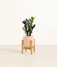 Load image into Gallery viewer, Gentle Pink stand:bamboo