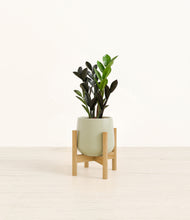 Load image into Gallery viewer, Turquoise stand:bamboo