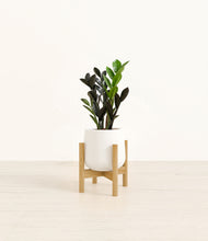 Load image into Gallery viewer, White stand:bamboo