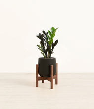 Load image into Gallery viewer, Black stand:walnut