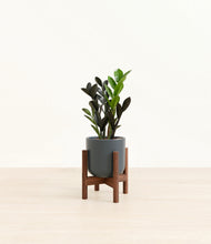 Load image into Gallery viewer, Iron Gray stand:walnut