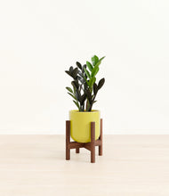 Load image into Gallery viewer, Key Lime Yellow stand:walnut