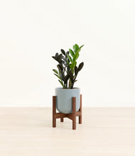 Load image into Gallery viewer, Misty Blue stand:walnut