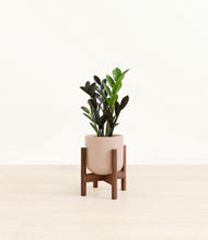 Load image into Gallery viewer, Sandy Pink stand:walnut