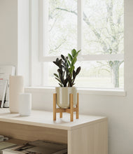 Load image into Gallery viewer, Sage Green stand:bamboo