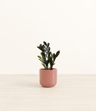 Load image into Gallery viewer, Hammered Rose Pink*****Profile