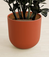 Load image into Gallery viewer, Earth Red stand:all