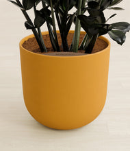 Load image into Gallery viewer, Sunset Orange stand:all