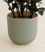 Load image into Gallery viewer, Sage Green stand:all