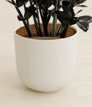 Load image into Gallery viewer, Natural Bamboo stand:all