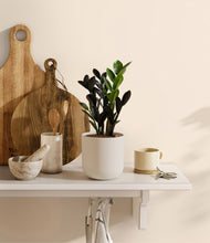 Load image into Gallery viewer, Natural Bamboo