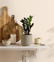 Load image into Gallery viewer, Sage Green