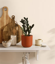 Load image into Gallery viewer, Earth Red