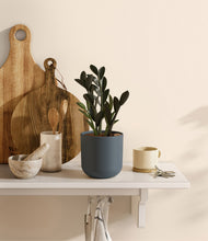 Load image into Gallery viewer, Iron Gray