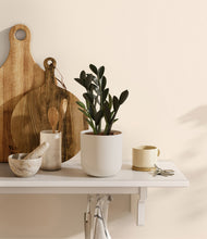 Load image into Gallery viewer, Natural Bamboo