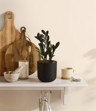 Load image into Gallery viewer, Stone Black