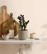 Load image into Gallery viewer, Sage Green