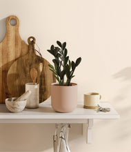 Load image into Gallery viewer, Sandy Pink