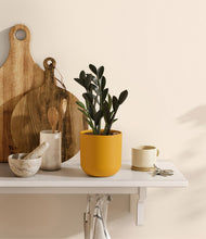 Load image into Gallery viewer, Sunset Orange