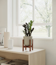 Load image into Gallery viewer, Sage Green stand:walnut