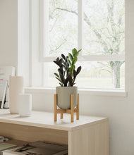 Load image into Gallery viewer, Sage Green stand:bamboo