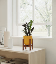 Load image into Gallery viewer, Sunset Orange stand:walnut