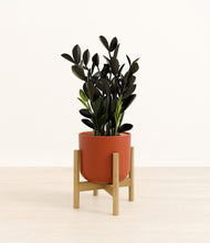 Load image into Gallery viewer, Earth Red stand:bamboo