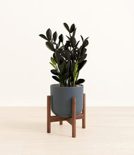 Load image into Gallery viewer, Iron Gray stand:walnut