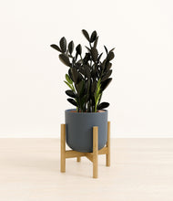 Load image into Gallery viewer, Iron Gray stand:bamboo