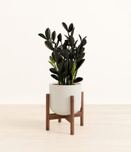 Load image into Gallery viewer, Natural Bamboo stand:walnut