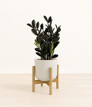 Load image into Gallery viewer, Natural Bamboo stand:bamboo