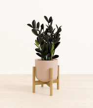 Load image into Gallery viewer, Sandy Pink stand:bamboo