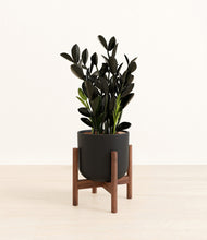 Load image into Gallery viewer, Stone Black stand:walnut