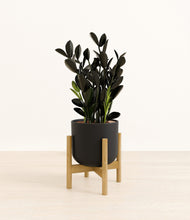 Load image into Gallery viewer, Stone Black stand:bamboo