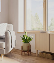 Load image into Gallery viewer, Olive stand:walnut