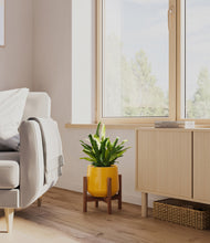 Load image into Gallery viewer, Mustard stand:walnut