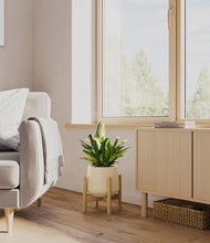Load image into Gallery viewer, Almond Green stand:bamboo