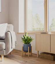 Load image into Gallery viewer, Deep Navy stand:bamboo