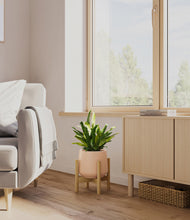 Load image into Gallery viewer, Gentle Pink stand:bamboo