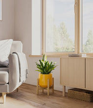 Load image into Gallery viewer, Mustard stand:bamboo