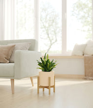 Load image into Gallery viewer, Cream stand:bamboo