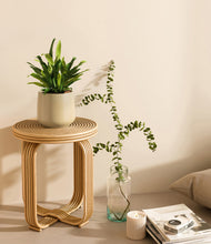 Load image into Gallery viewer, Almond Green