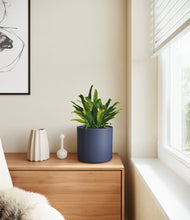 Load image into Gallery viewer, Deep Navy