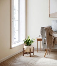 Load image into Gallery viewer, Shiny EggWhite stand:walnut