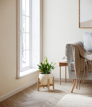 Load image into Gallery viewer, Shiny EggWhite stand:bamboo