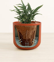 Load image into Gallery viewer, Earth Red