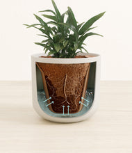 Load image into Gallery viewer, Natural Bamboo